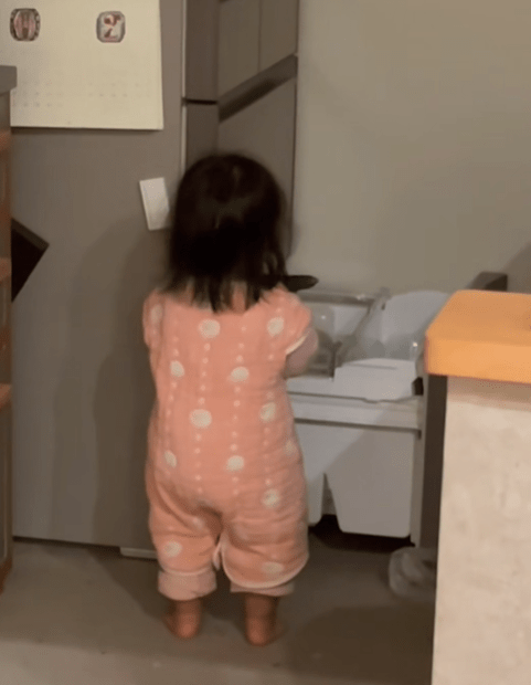 【実際の画像】　母が見た光景