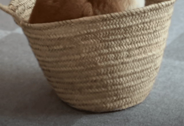 整理整頓のためにカゴを購入。しかし目を話した瞬間、まさかの光景に「笑ってしまったww」「え、初めて見ました！！！」