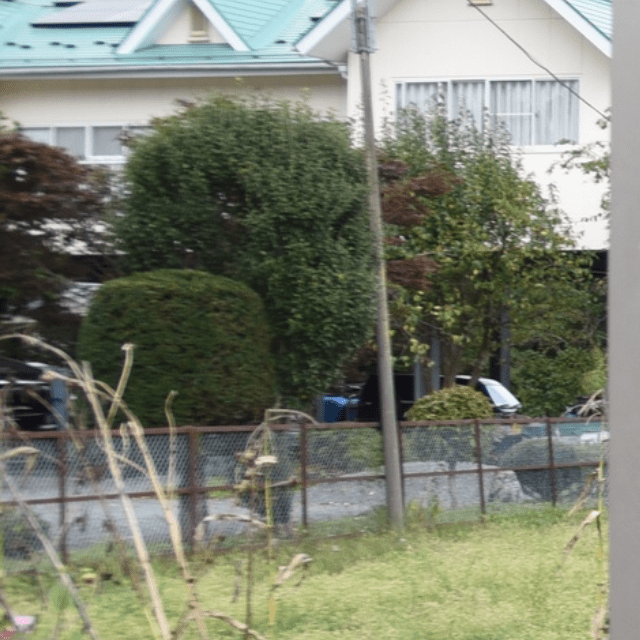 【実際の写真】　母が見た光景