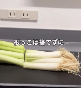 切り落としたネギの根っこは捨てないで→ “一石二鳥すぎる裏ワザ”に…「知らなかった」「私もやってる〜」