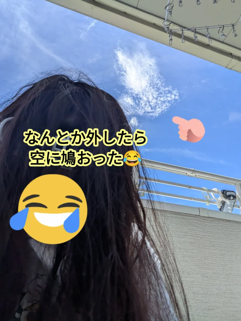 鳩みたいな形の雲の写真（＠kobakoba8371さんより提供）
