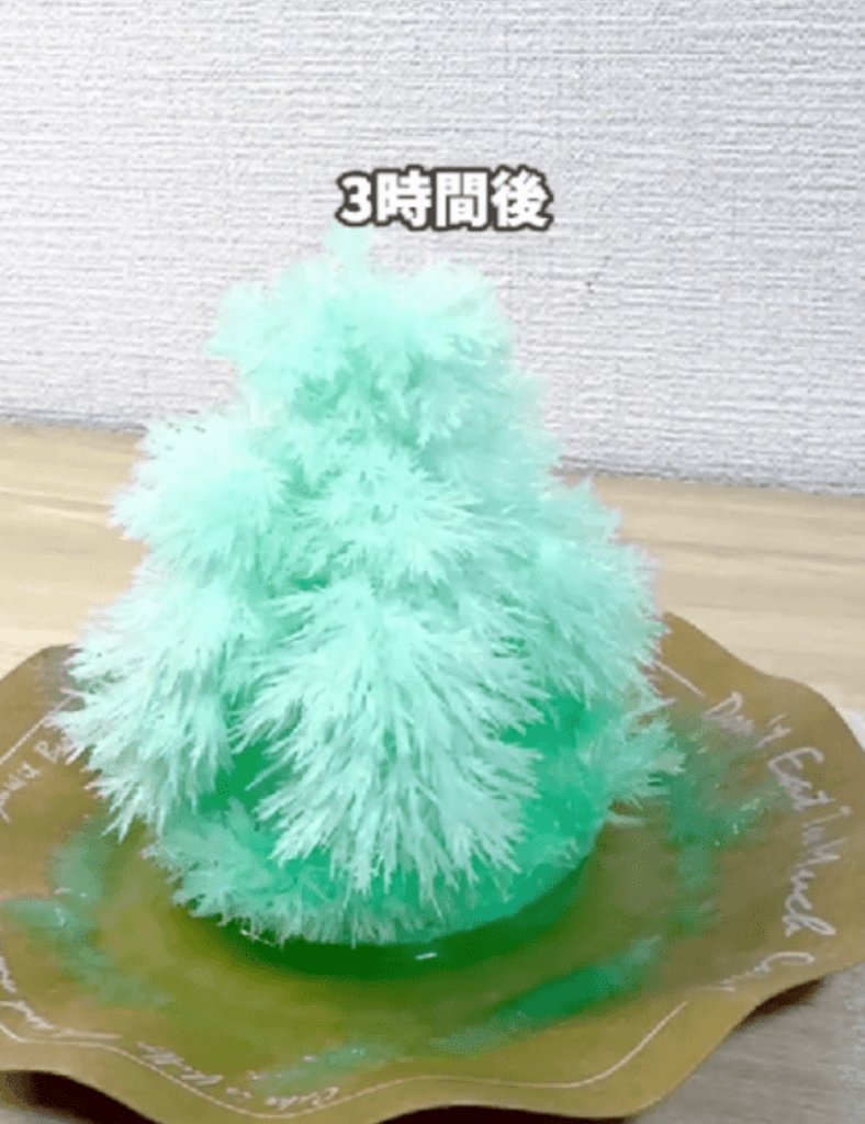 3時間後のツリー（＠rima_asobiさんより提供）