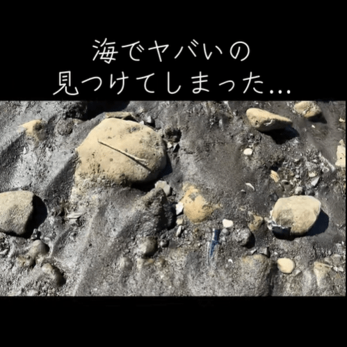 【実際の写真】　　投稿された写真
