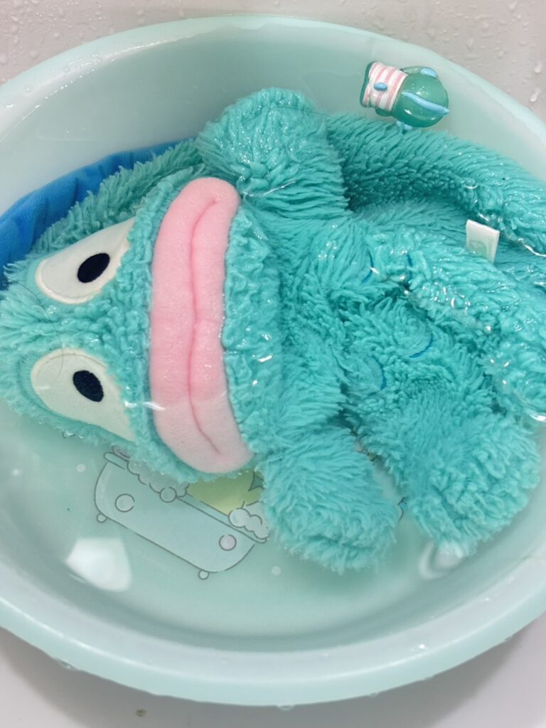 洗濯中（ぽろりさんより提供）