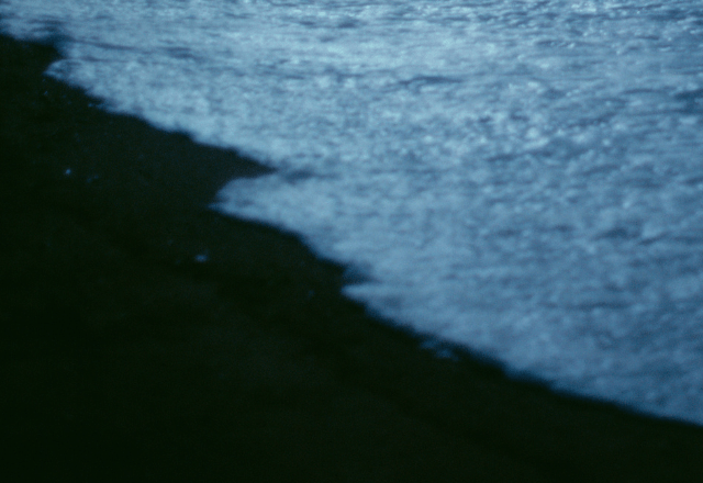 【実際の写真】　　投稿された写真
