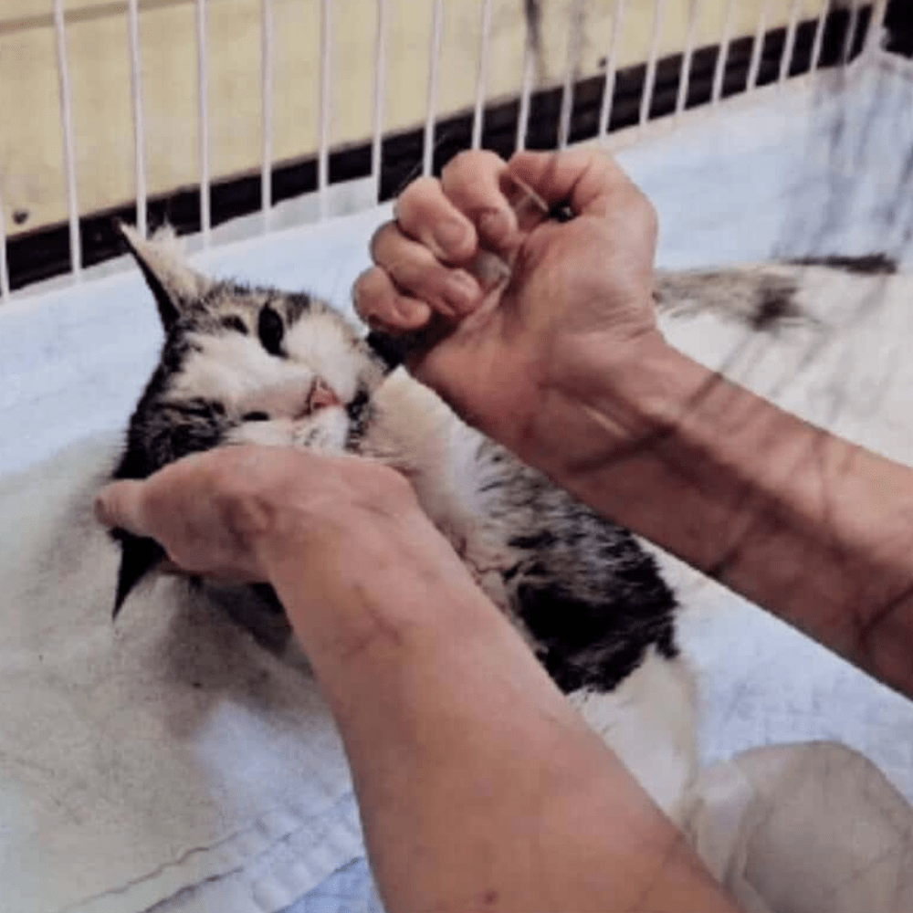 【実際の写真】現在の様子