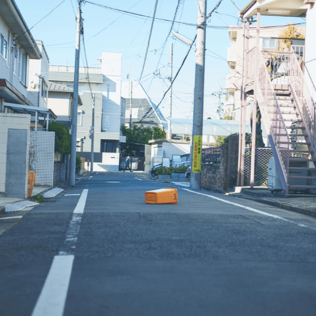 【実際の写真】　投稿者さんが見た光景