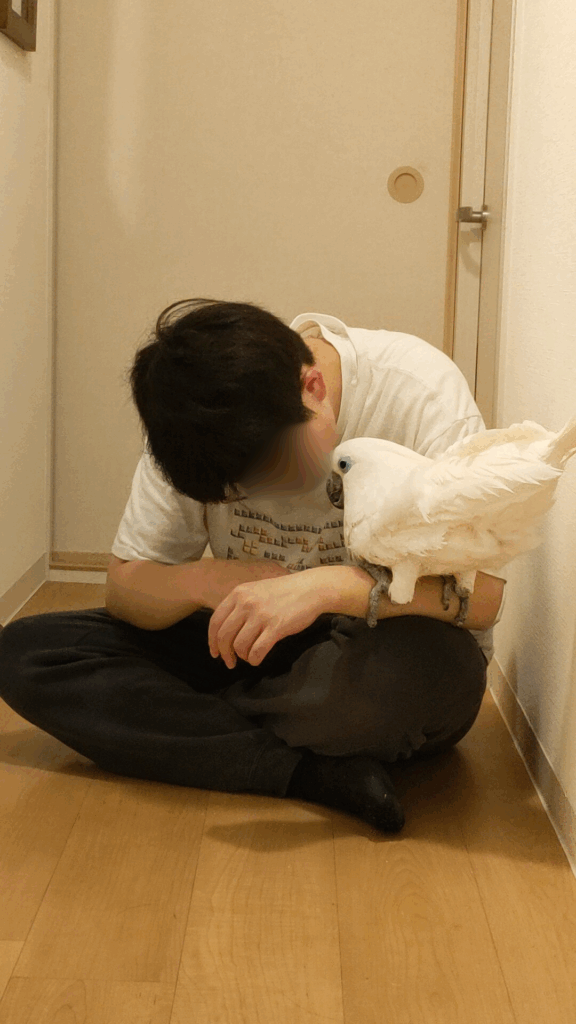 お兄ちゃんが大好きなカブくん（@iD3Po3ITje3Y2Iyさんより提供）