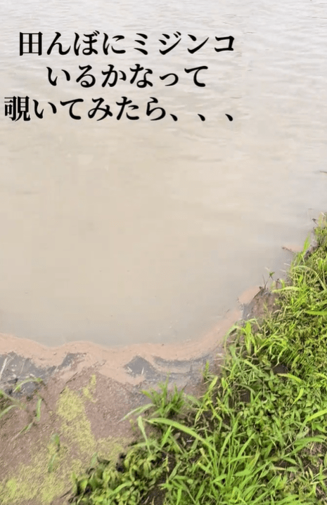 【実際の写真】　　衝撃の光景
