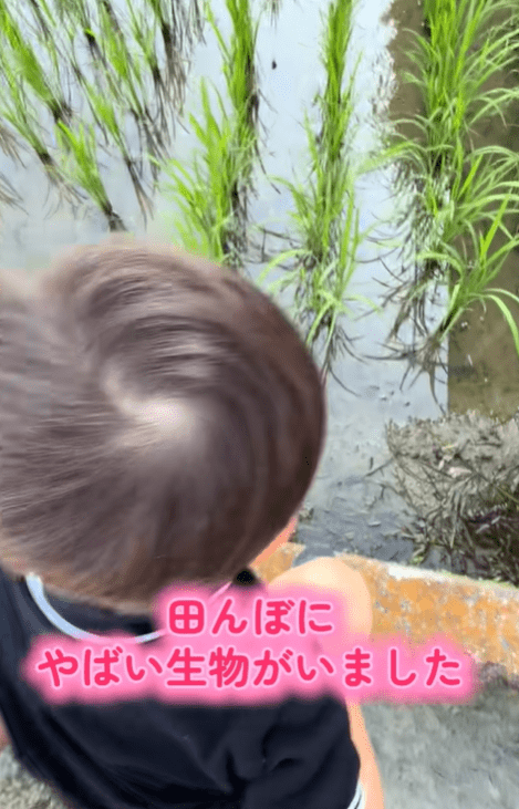 【実際の写真】　　投稿された写真