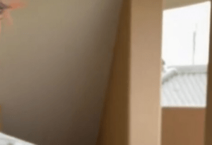 夫「仕事行ってきます」妻「行ってらっしゃい」→しかし直後、”夫の叫び声”が…！？妻が慌てて見に行くと…「想像の斜め上すぎたｗ」「リアクションが7歳児ｗｗ」