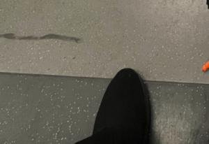 駅のホームで、通りすがりの外国人女性に声をかけられ違和感。→女性の視線の先を見てみると…「すげー！！」「これは可愛い」