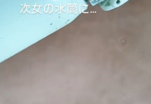 ある日、中3娘の水筒に違和感。→父が確認すると…「すごいな」「これは驚く」