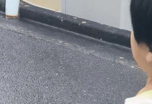 雨の日に4歳息子とお出かけ→足元を見ると…… 母がゾッとした“まさかの光景”に「声出して笑ったｗｗｗ」「むしろ成功では」「どこで出会えますか？」