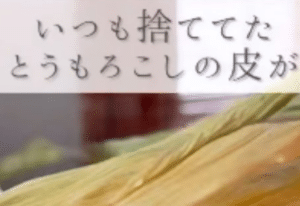 夫「なにこれ！」捨てようとしていたトウモロコシ。→しかしまさかの”活用法”に「えぇ！？ｗｗ」「天才」