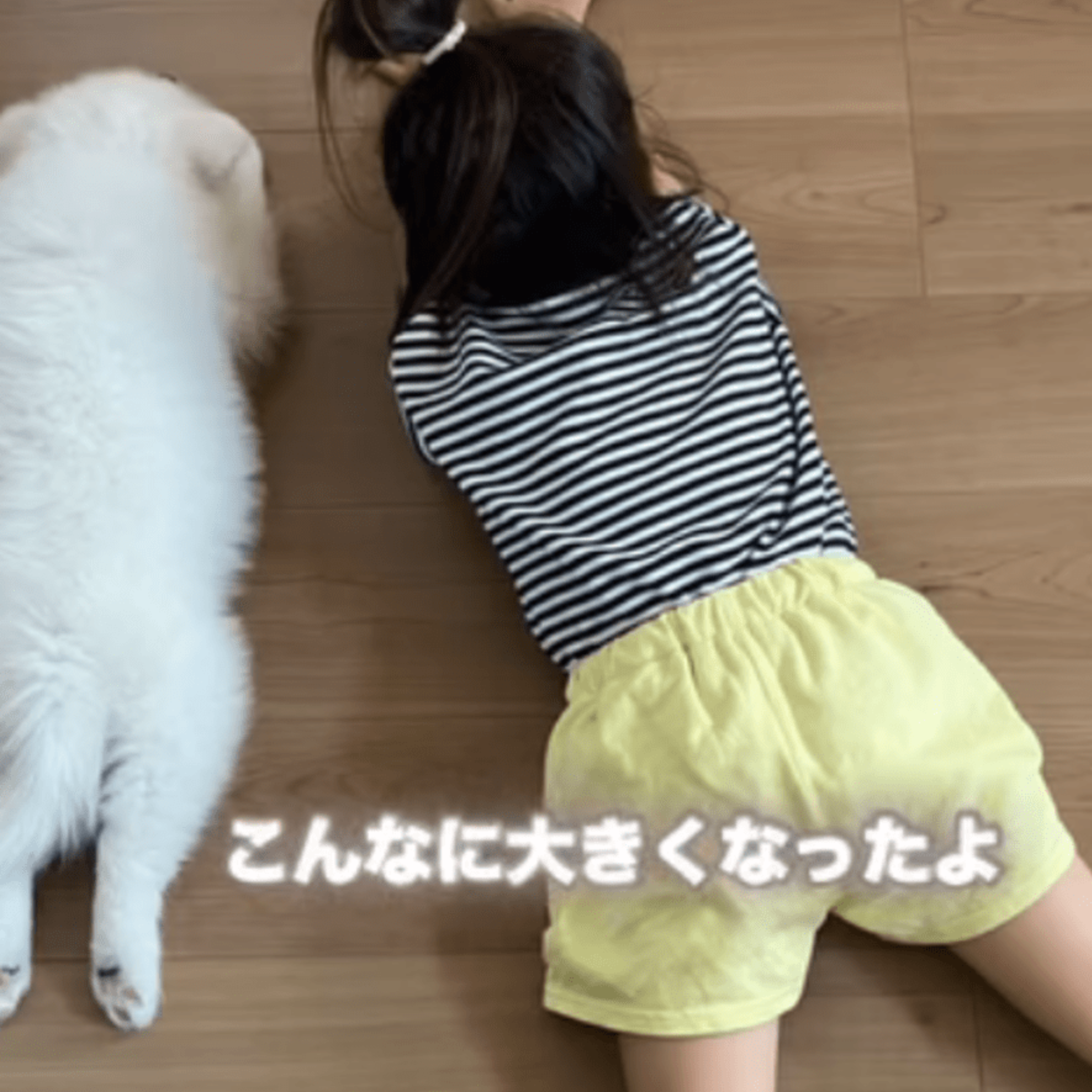 娘よりも小さい真っ白な犬。しかし9ヶ月後…驚きの成長を遂げた姿に「成長早過ぎてびびる」「心はパピーのままかな」
