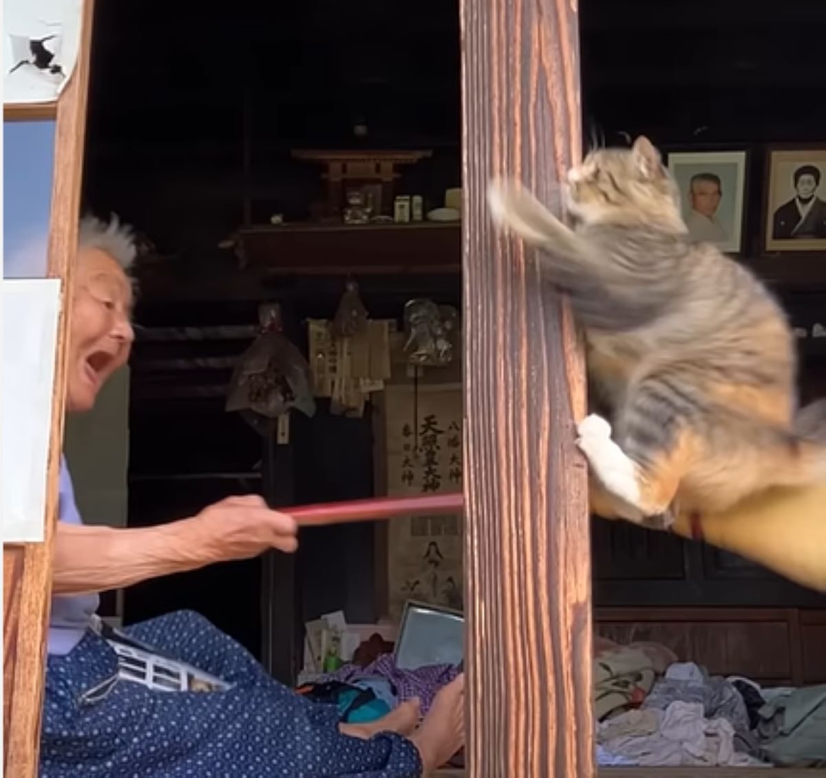 猫 と おばあちゃん