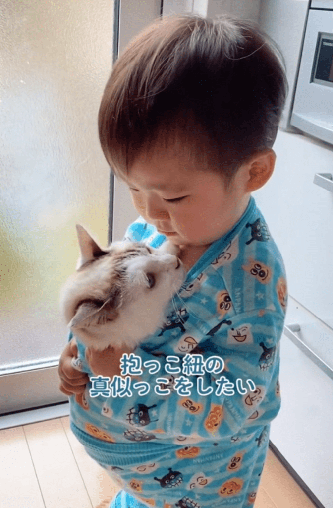 【実際の写真7枚】よく見た様子（@nekko.5nekko2さんより提供）