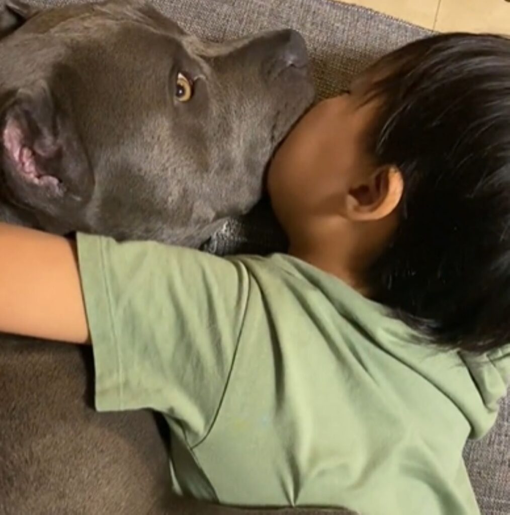 【実際の写真6枚】2人の様子（＠plantsfunshopnaturさんより提供）