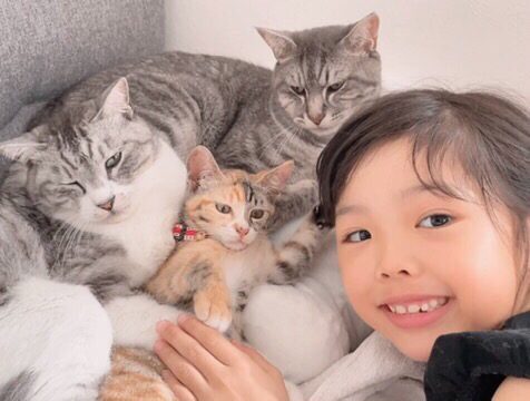 猫ちゃんたちと笑顔の娘さん（＠ran_.0530さんより提供）