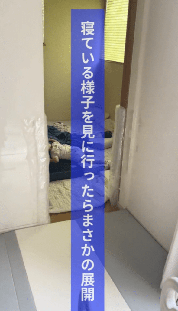 【実際の写真6枚】近づいてみた結果（@hinata_room_tiktokさんより提供）