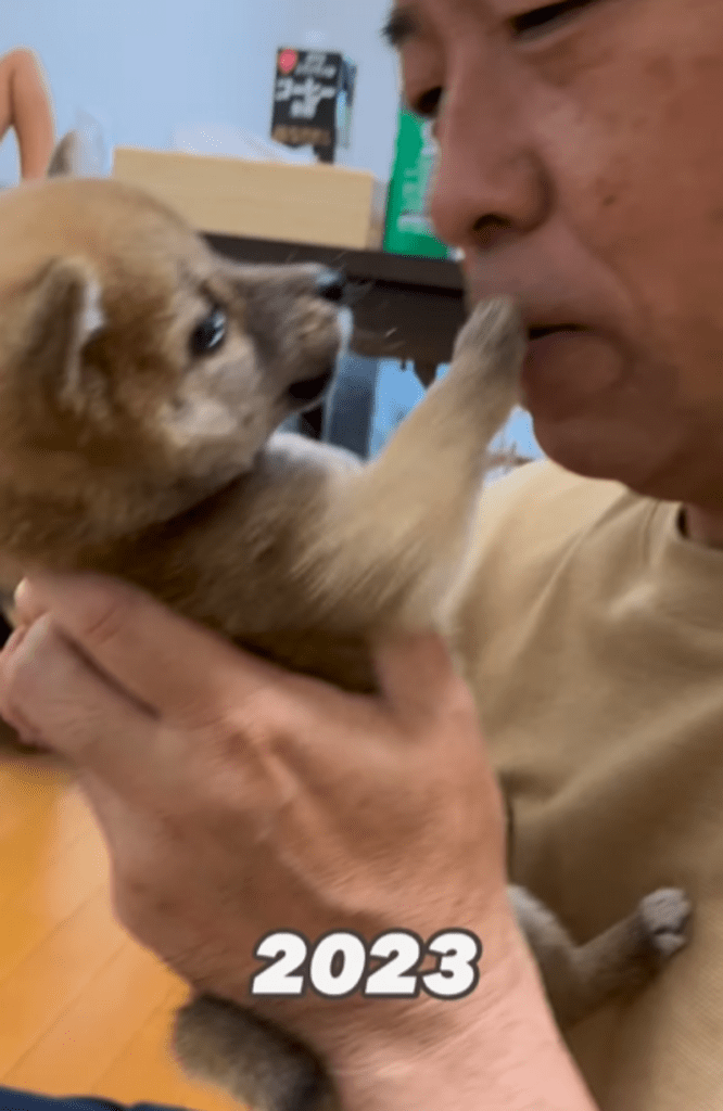 【実際の写真5枚】1年後の様子（@eri72527さんより提供）