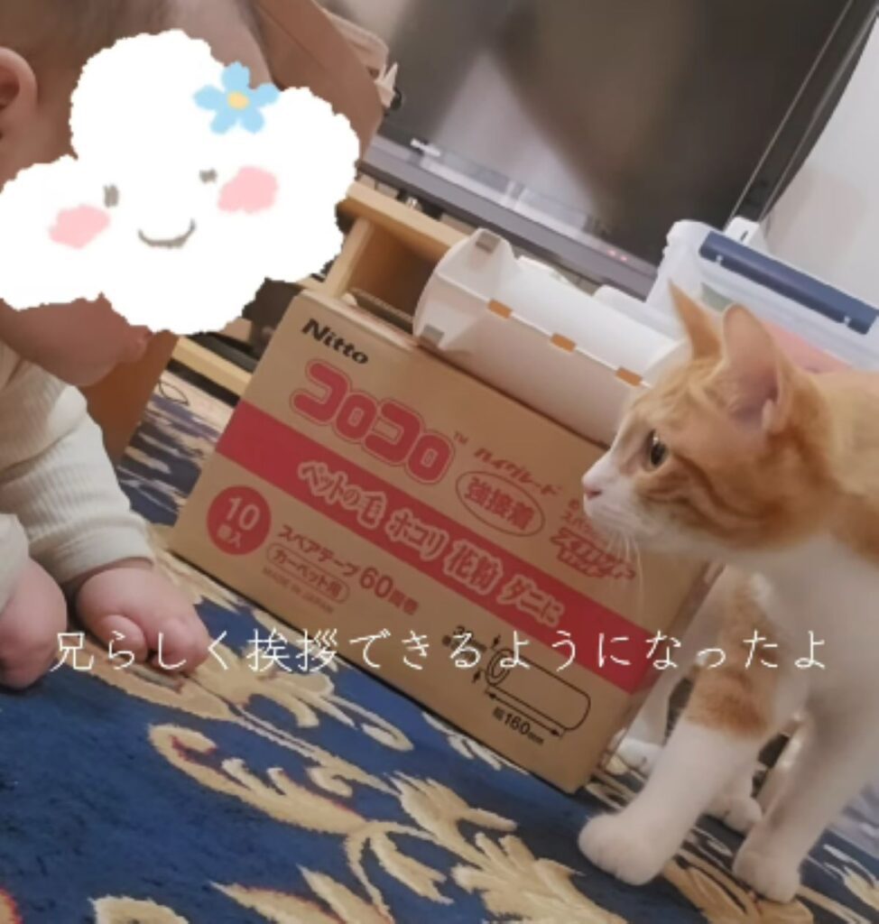 少しずつそばへ…（＠nyanko1017さんより提供）