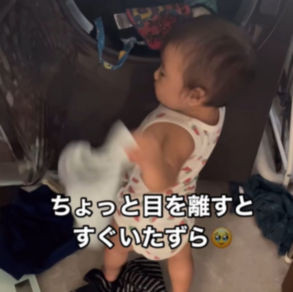 すぐにいたずらをしてしまいます（＠miwa_k0808さんより提供）