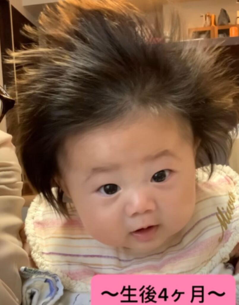 ライオンヘアーに（＠meifa_l0v0lさんより提供）