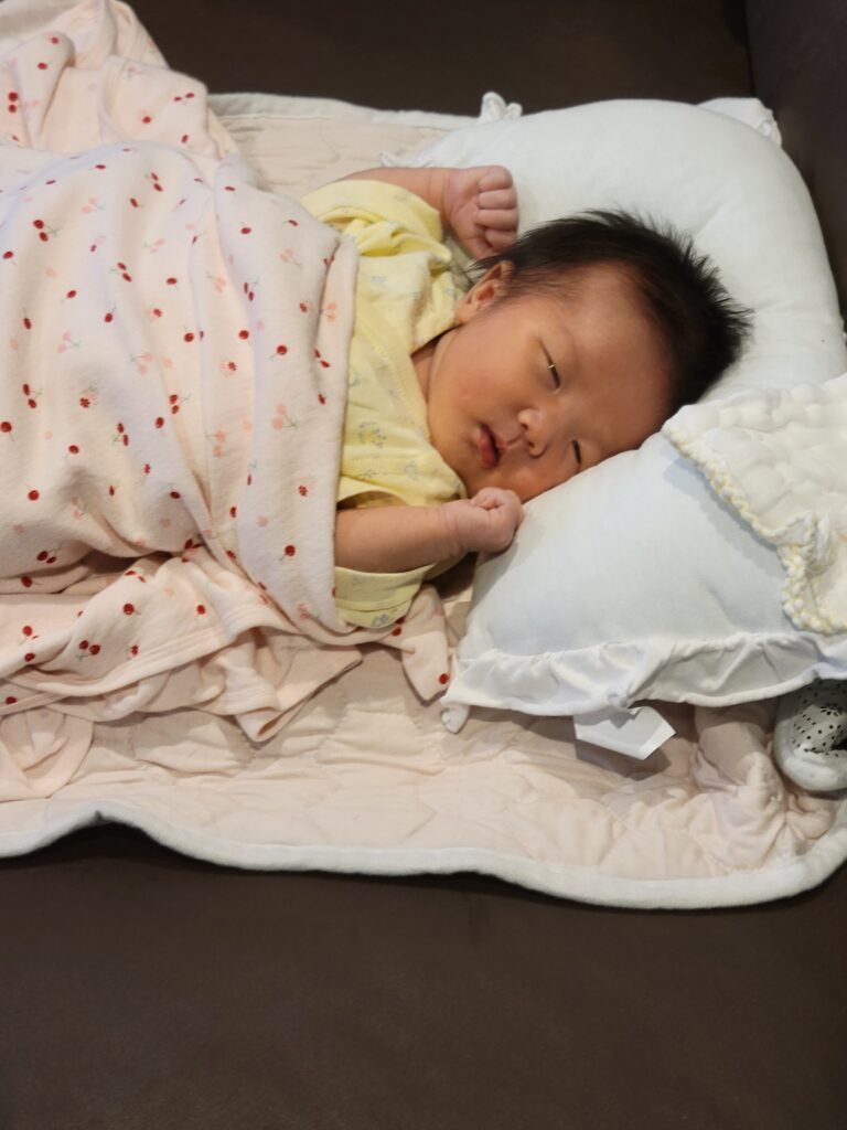 眠っているようです（＠mamekopiiさんより提供）