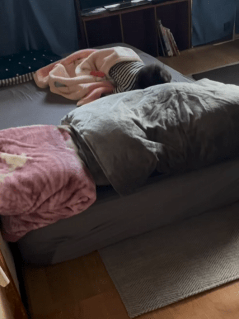 【実際の写真6枚】　ママが見た光景