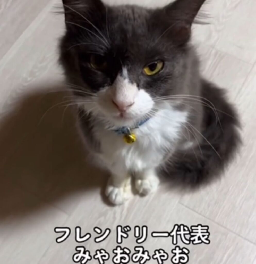 フレンドリーなみゃおちゃん（＠second.peace.0707さんより提供）