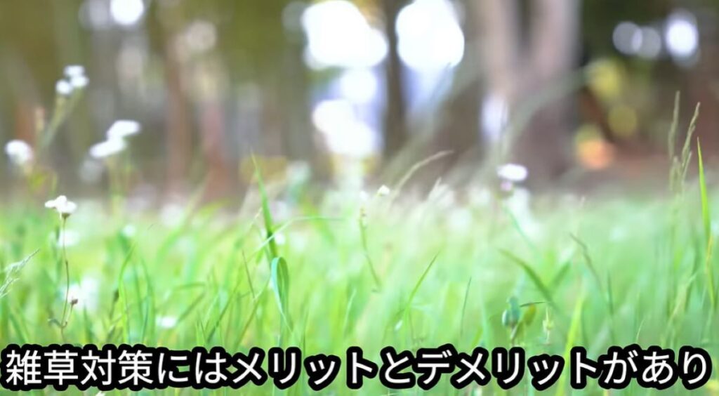 【実際の写真5枚】　メリットデメリット