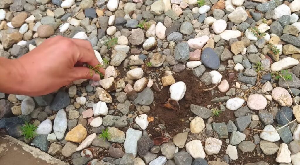 砂利を敷く方法（@diy48さんより提供）