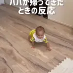 パパの声がしたよ（@dunchannel1020さんより提供）