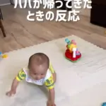 窓際へ急ぐ赤ちゃん（@dunchannel1020さんより提供）