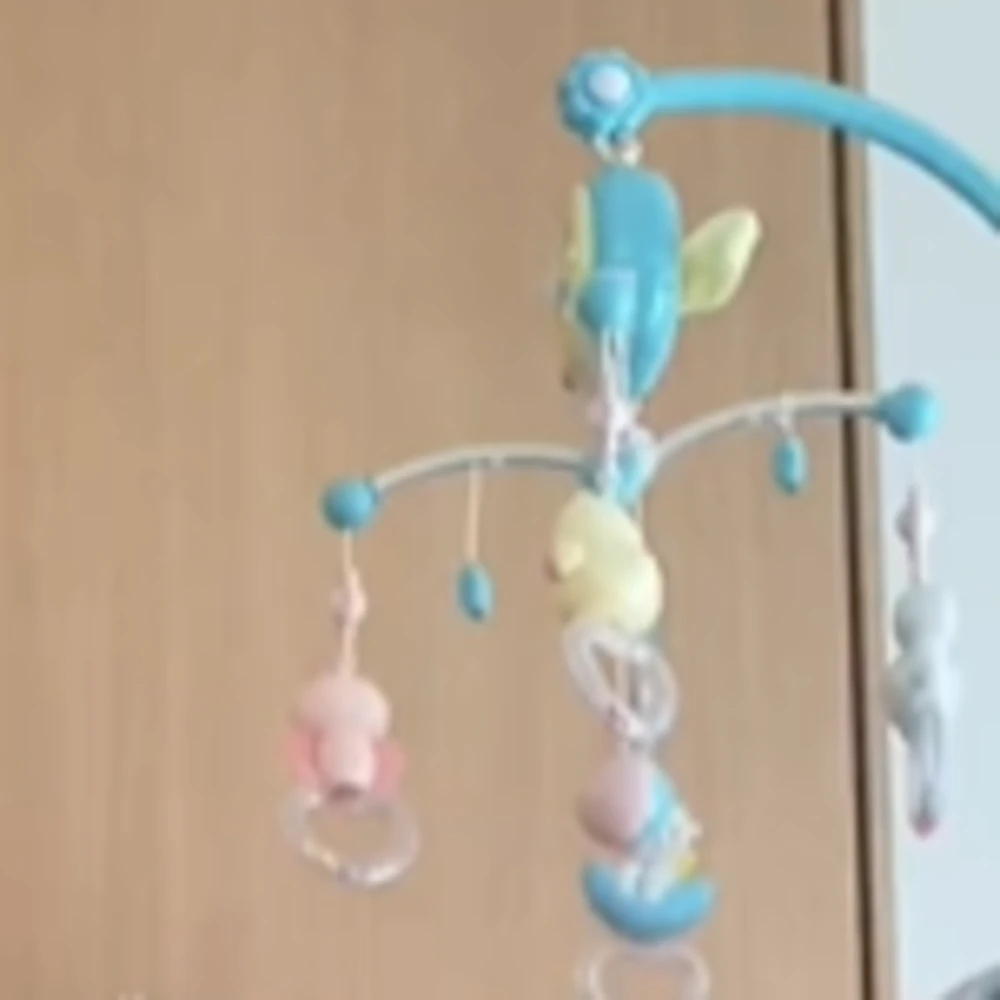 視線の先にはメリーが（@m_s2_yさんより提供）