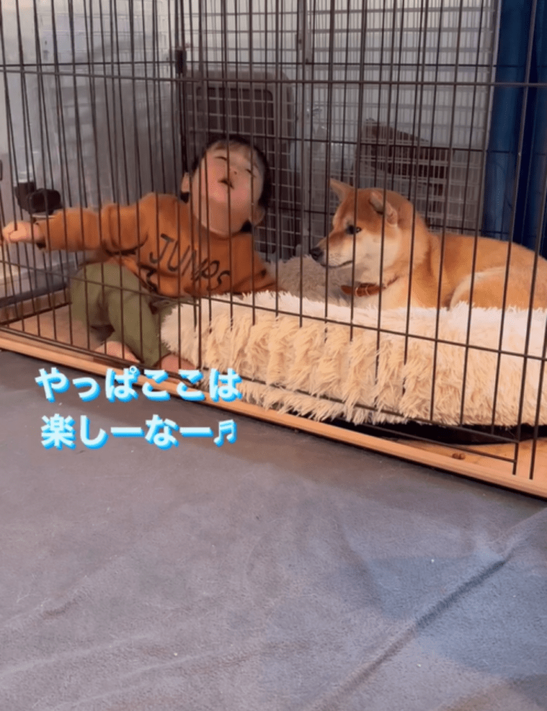 【実際の写真5枚】　ママが見た光景