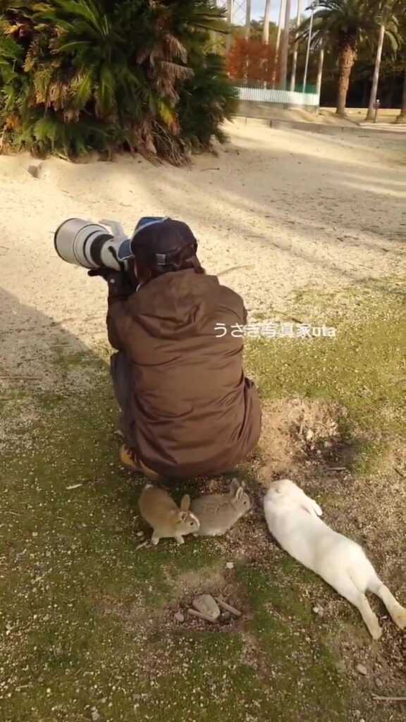 【実際の写真5枚】　背後の様子