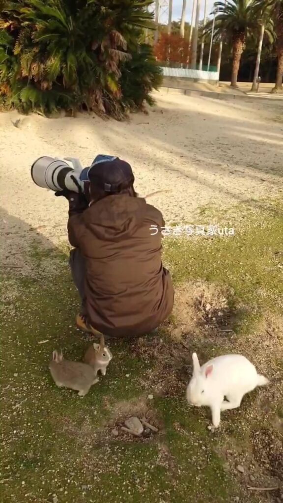 撮影している背後で…（＠utajimaさんより提供）