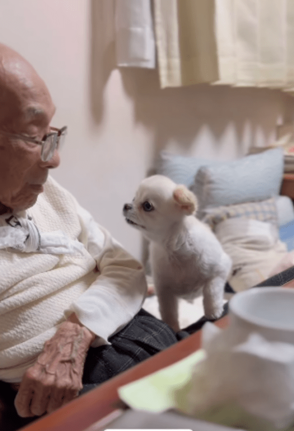 母が倒れ笑顔を失った95歳の父　ワンコと触れ合うと…「涙が止まりません」「頼もしいみまもり隊」