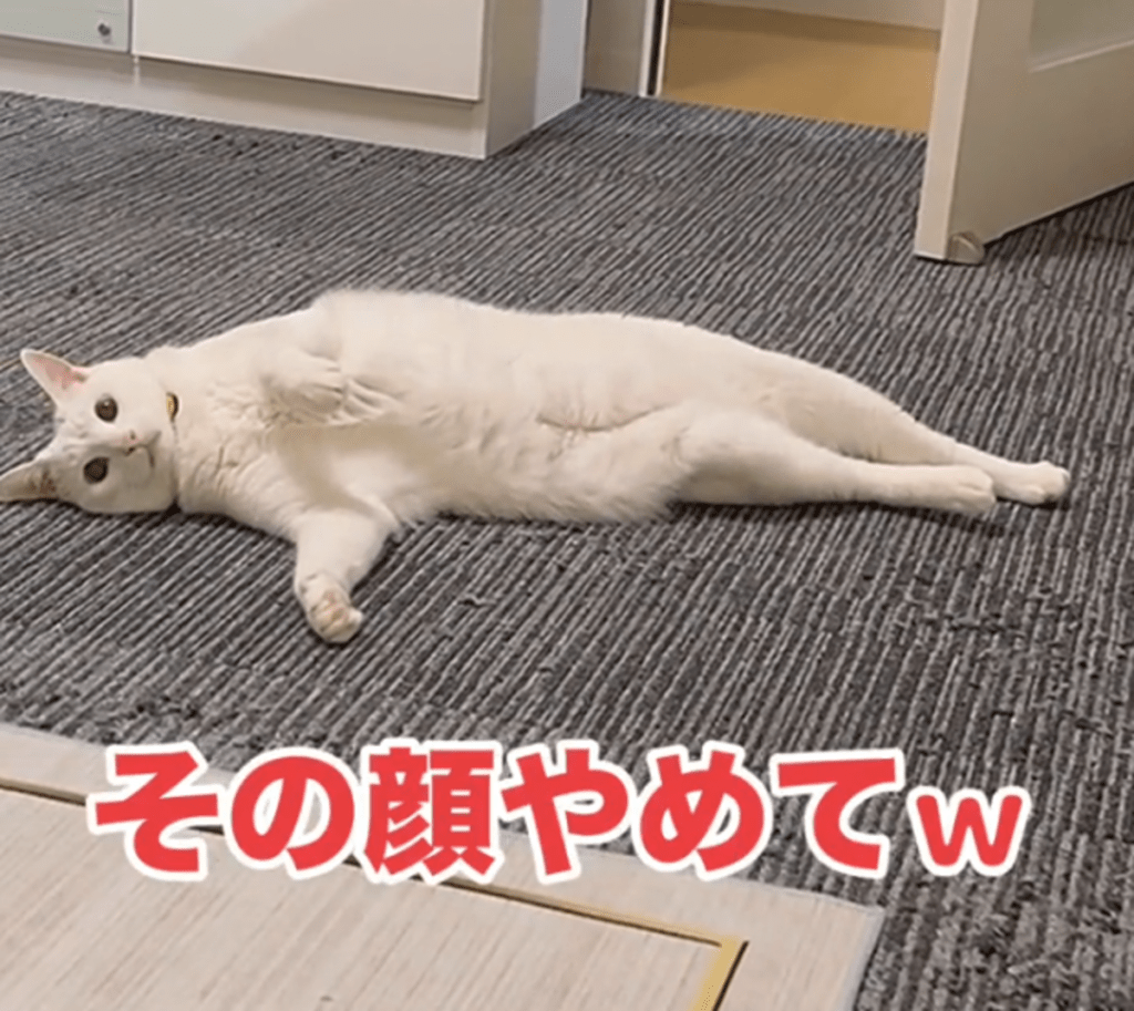 息子さんが行ってしまうと…（@user5252430348026さんより提供）