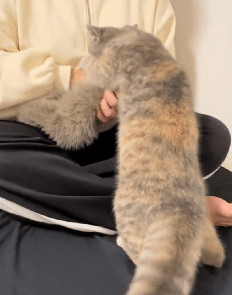 マフラーを攻撃！（@hokori0525さんより提供）