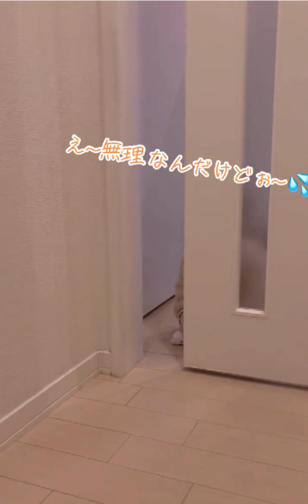 通れない娘さん（＠ui8851さんより提供）