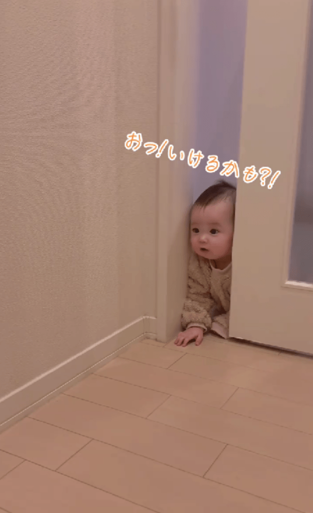 いけるかも？（＠ui8851さんより提供）