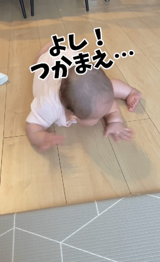 捕まえようとするが…（＠ku_coco.mさんより提供）