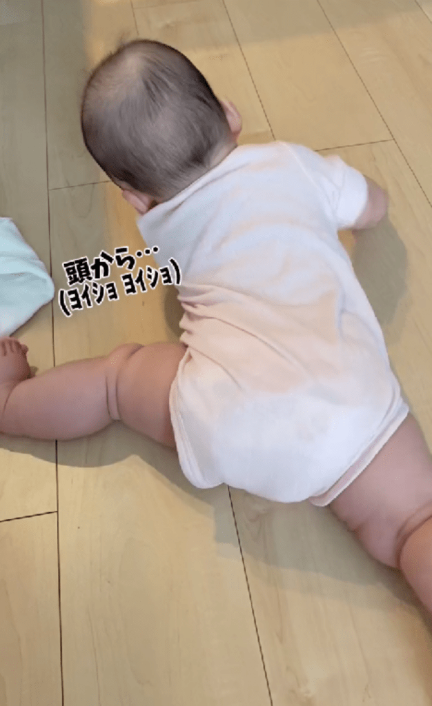 いろいろな角度から試みるも…（＠ku_coco.mさんより提供）