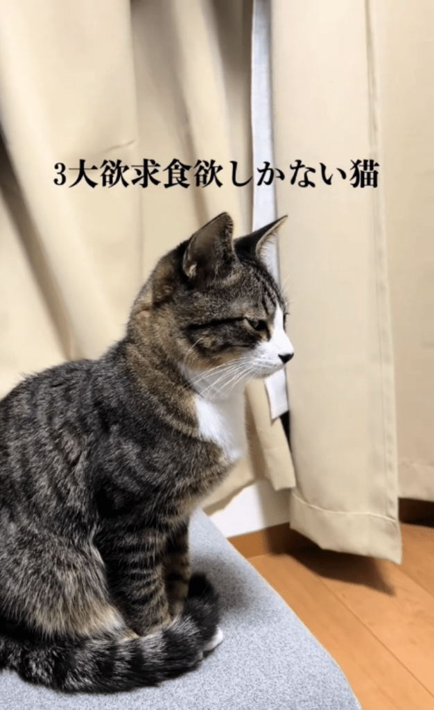 【実際の写真7枚】　飼い主さんが見た光景