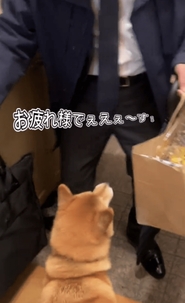 サプライズでお出迎え（＠towatowa817さんより提供）