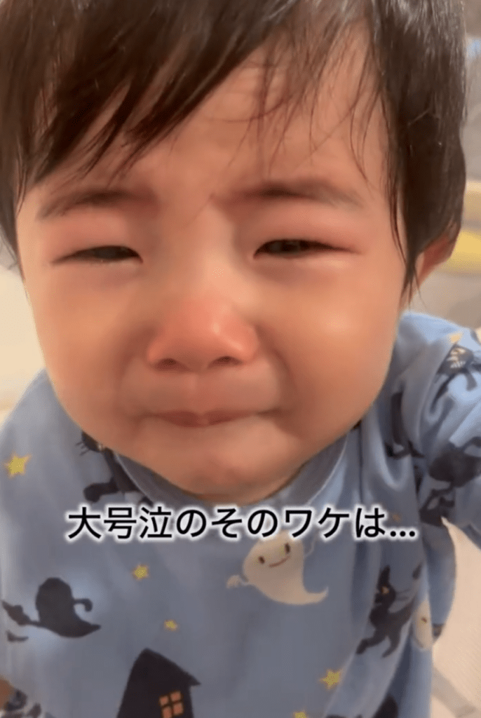 【実際の写真5枚】　ママが見た光景